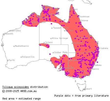 common blue-tongued skink (Tiliqua scincoides) distribution range map