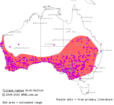 shingleback (Tiliqua rugosa) distribution range map