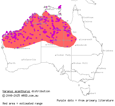 ridge-tailed monitor (Varanus acanthurus) distribution range map