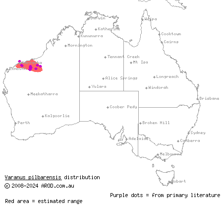 northern Pilbara rock monitor (Varanus pilbarensis) distribution range map