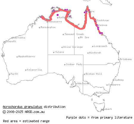 little file snake (Acrochordus granulatus) distribution range map