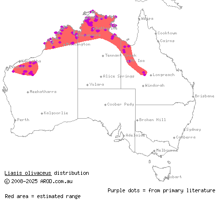 olive python (Liasis olivaceus) distribution range map