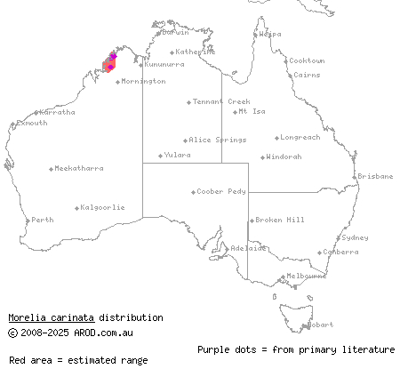 rough-scaled python (Morelia carinata) distribution range map