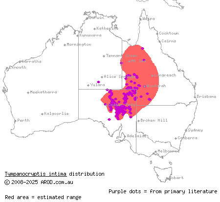 gibber earless dragon (Tympanocryptis intima) distribution range map