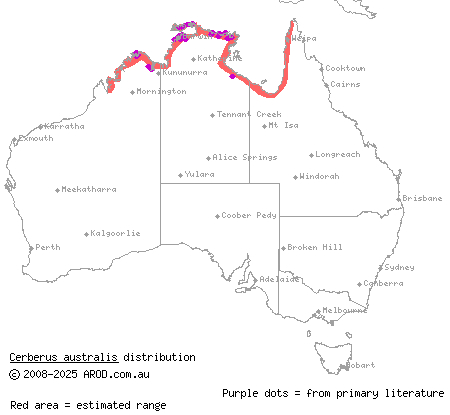 Australian bockadam (Cerberus australis) distribution range map