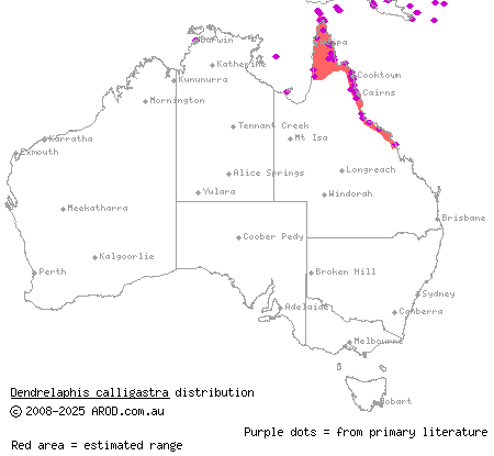 northern tree snake (Dendrelaphis calligastra) distribution range map