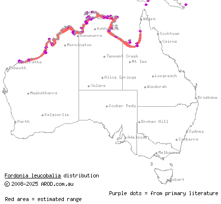 white-bellied mangrove snake (Fordonia leucobalia) distribution range map