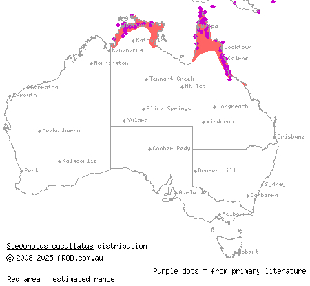 slaty-grey snake (Stegonotus cucullatus) distribution range map