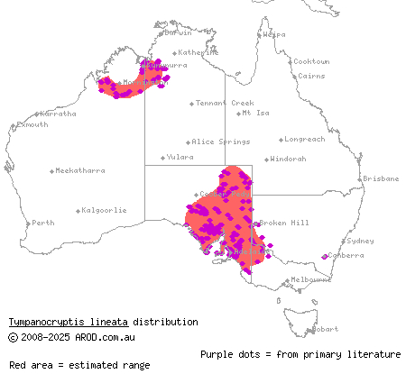 lined earless dragon (Tympanocryptis lineata) distribution range map