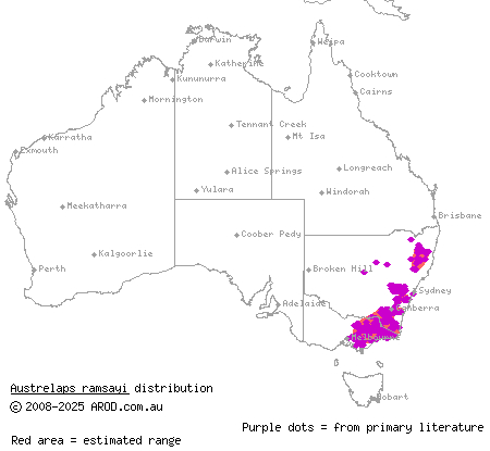 highlands copperhead (Austrelaps ramsayi) distribution range map