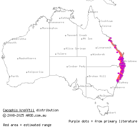 southern dwarf crowned snake (Cacophis krefftii) distribution range map