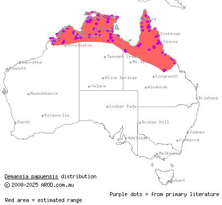 greater black whipsnake (Demansia papuensis) distribution range map