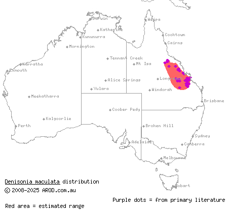 ornamental snake (Denisonia maculata) distribution range map