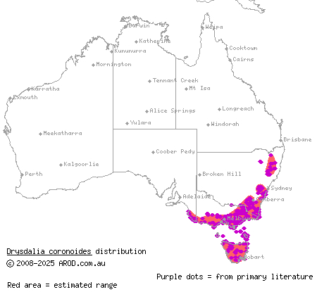 white-lipped snake (Drysdalia coronoides) distribution range map