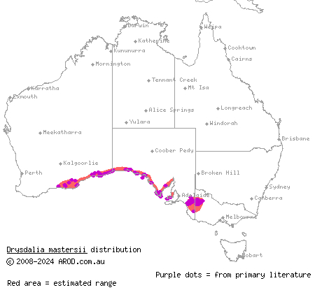 Masters' snake (Drysdalia mastersii) distribution range map