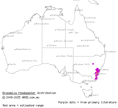 mustard-bellied snake (Drysdalia rhodogaster) distribution range map