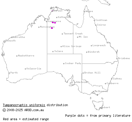 even-scaled earless dragon (Tympanocryptis uniformis) distribution range map