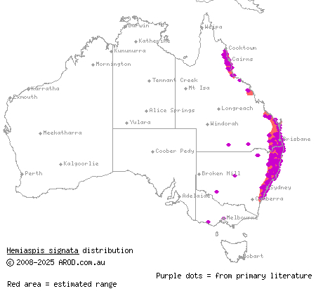 marsh snake (Hemiaspis signata) distribution range map