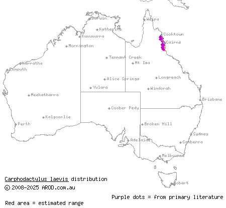 chameleon gecko (Carphodactylus laevis) distribution range map