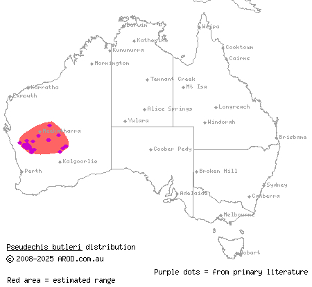 spotted mulga snake (Pseudechis butleri) distribution range map