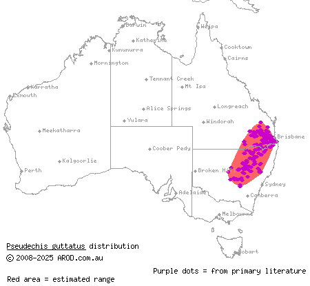 spotted black snake (Pseudechis guttatus) distribution range map