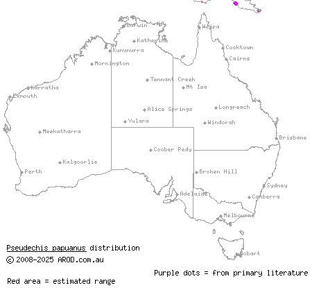 Papuan black snake (Pseudechis papuanus) distribution range map