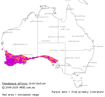 dugite (Pseudonaja affinis) distribution range map