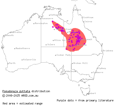 speckled brown snake (Pseudonaja guttata) distribution range map