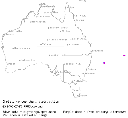 Lord Howe island gecko (Christinus guentheri) distribution range map