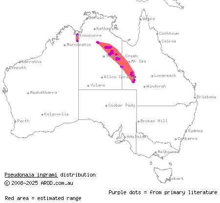 Ingram's brown snake (Pseudonaja ingrami) distribution range map