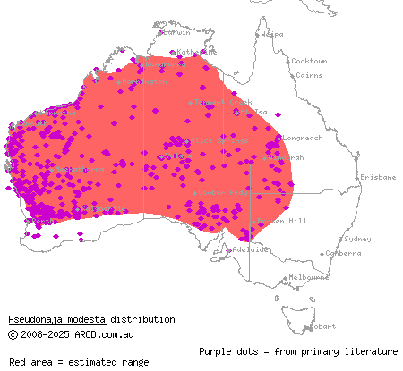 ringed brown snake (Pseudonaja modesta) distribution range map