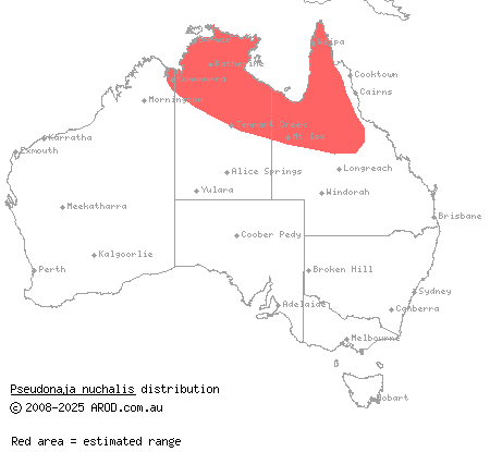 northern brown snake (Pseudonaja nuchalis) distribution range map