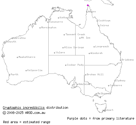 pink snake (Cryptophis incredibilis) distribution range map