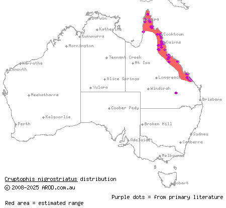 black-striped snake (Cryptophis nigrostriatus) distribution range map