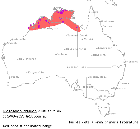 chameleon dragon (Chelosania brunnea) distribution range map