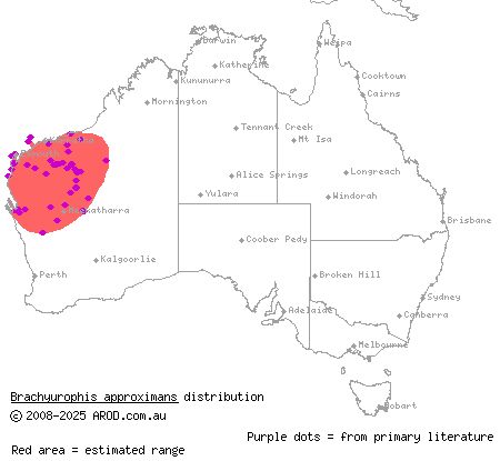 north-western shovel-nosed snake (Brachyurophis approximans) distribution range map