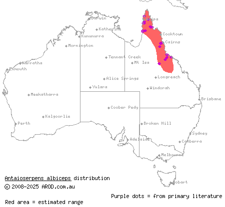 robust burrowing snake (Antaioserpens albiceps) distribution range map