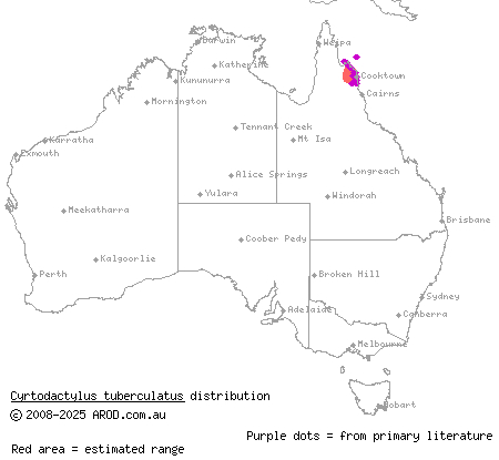 coastal ring-tailed gecko (Cyrtodactylus tuberculatus) distribution range map