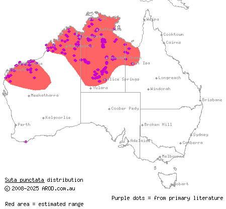 little spotted snake (Suta punctata) distribution range map