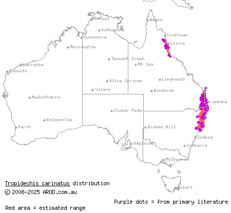 rough-scaled snake (Tropidechis carinatus) distribution range map