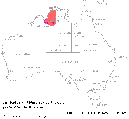 narrow-banded bandy-bandy (Vermicella multifasciata) distribution range map