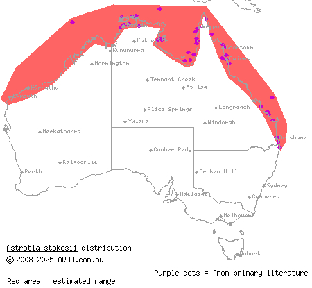 Stokes' sea snake (Astrotia stokesii) distribution range map