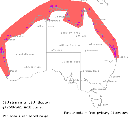 olive-headed sea snake (Disteira major) distribution range map