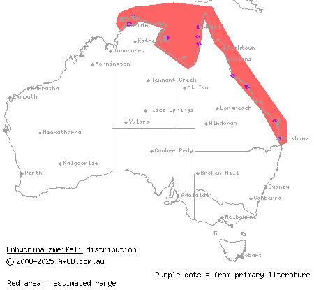 Zweifel's sea snake (Enhydrina zweifeli) distribution range map