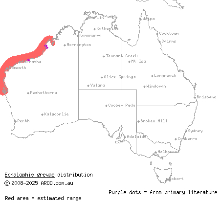 mangrove sea snake (Ephalophis greyae) distribution range map