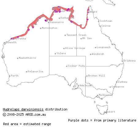 black-ringed mangrove snake (Hydrelaps darwiniensis) distribution range map