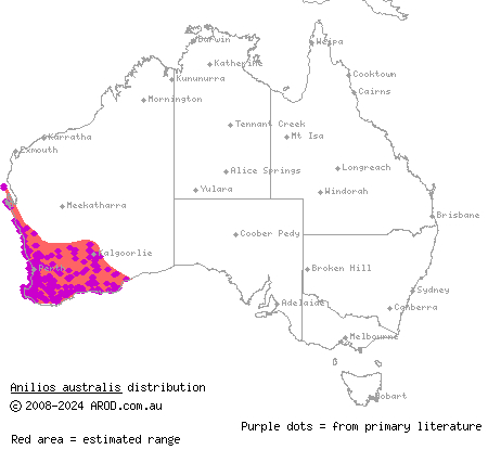 southern blind snake (Anilios australis) distribution range map