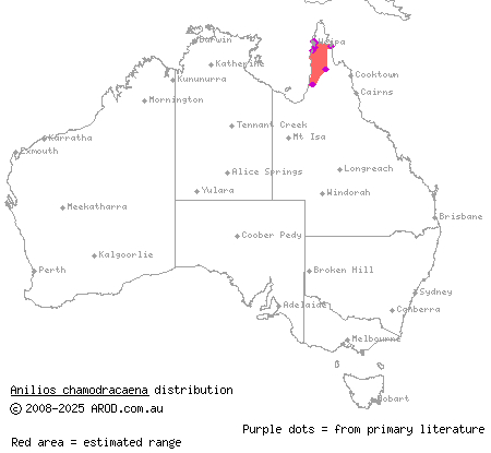 Cape York striped blind snake (Anilios chamodracaena) distribution range map