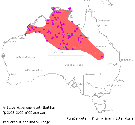 northern blind snake (Anilios diversus) distribution range map