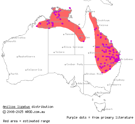 robust blind snake (Anilios ligatus) distribution range map